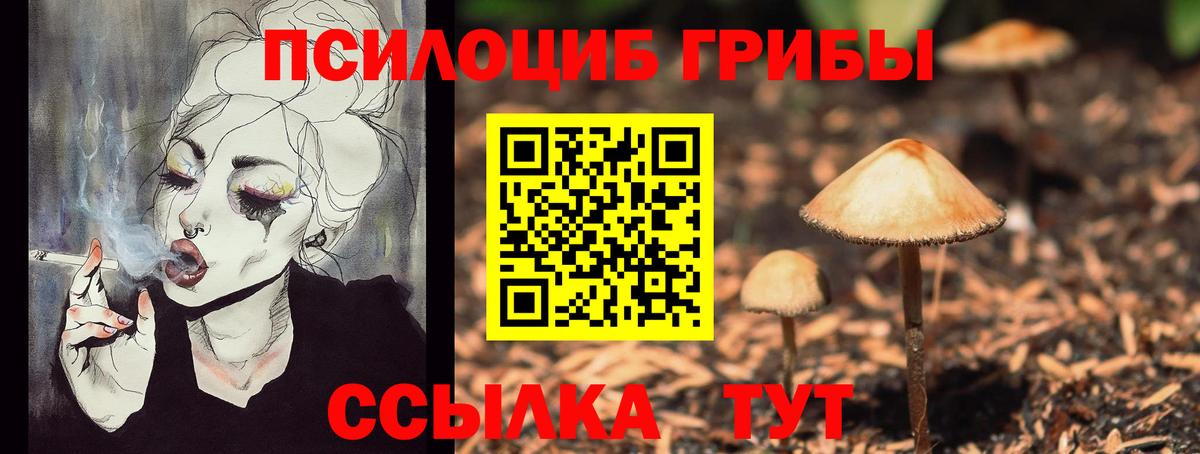 где найти   Псилоцибиновые грибы Cubensis  Вход с VPN  Зима 